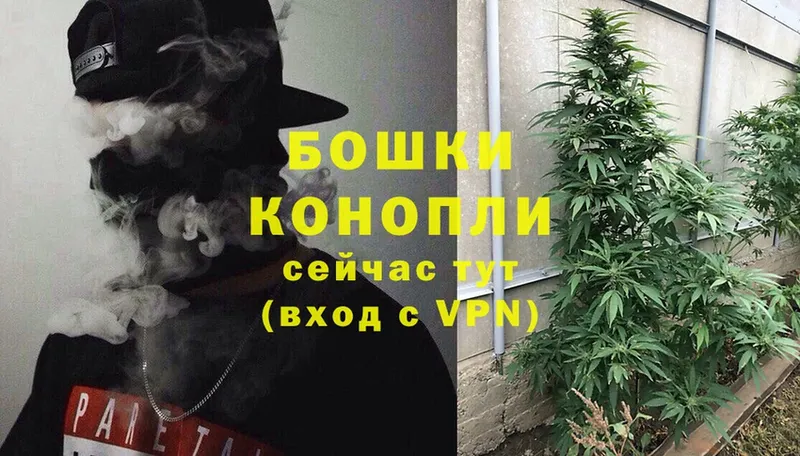 цена наркотик  МЕГА маркетплейс  Конопля Ganja  Ставрополь 